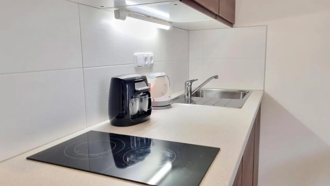 Appartamento Finnem Rentals Zikova Praga